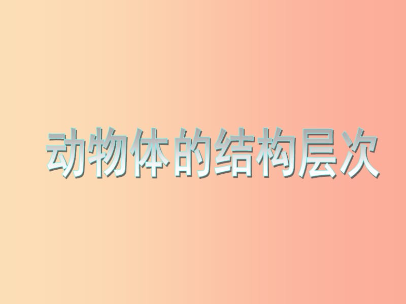 安徽省七年级生物上册 2.2.2《动物体的结构层次》课件2 新人教版.ppt_第1页