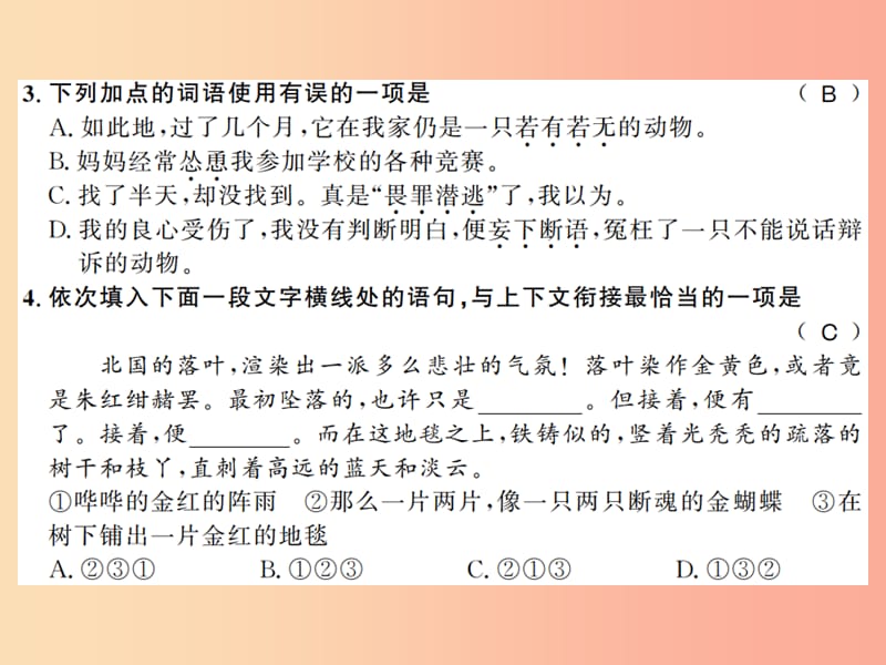 （河南专版）2019年七年级语文上册 第五单元 第16课 猫习题课件 新人教版.ppt_第3页