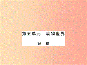 （河南專版）2019年七年級語文上冊 第五單元 第16課 貓習題課件 新人教版.ppt