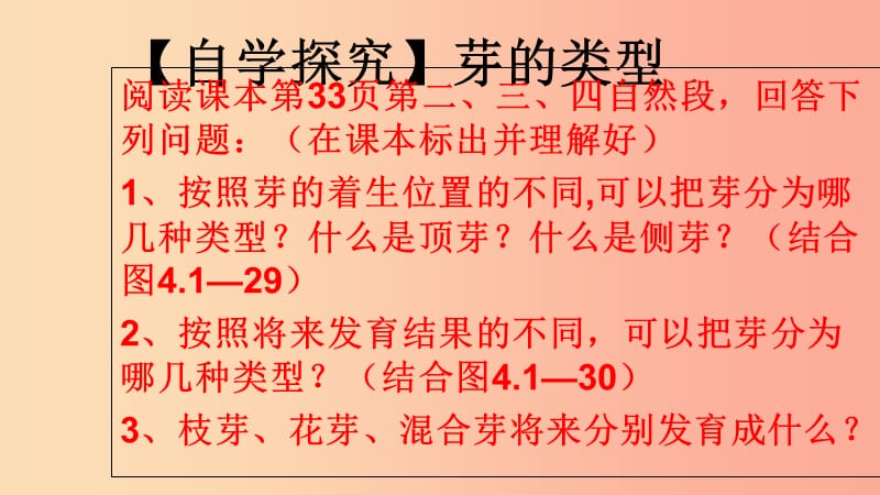 2019年八年级生物上册 4.1.6《芽的类型和发育》课件1（新版）济南版.ppt_第3页