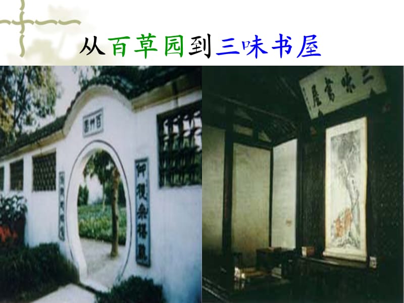 从百草园到三味书.ppt_第1页