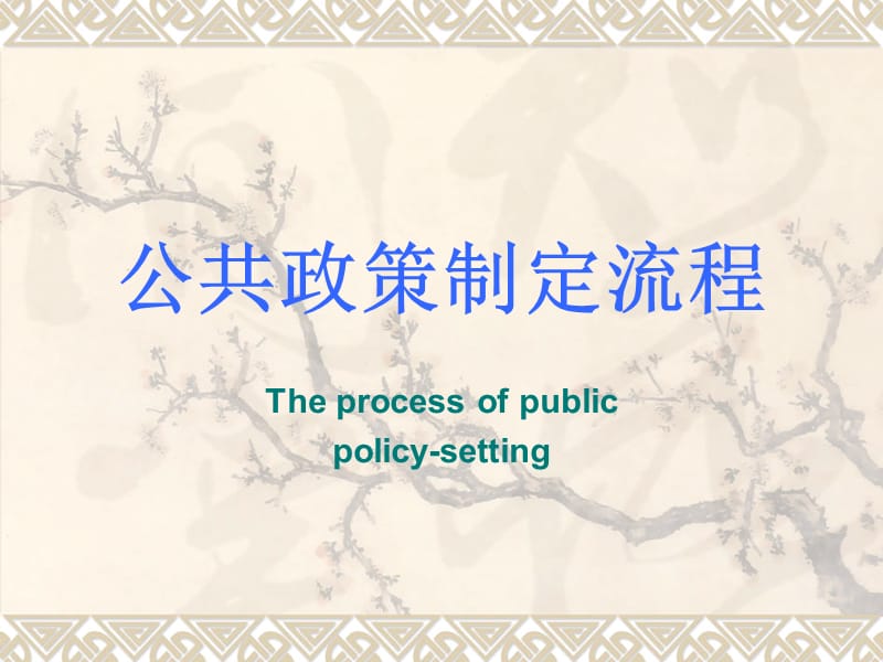 公共政策制定流程.ppt_第1页