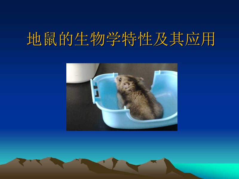 地鼠的生物学特性及其应用.ppt_第1页