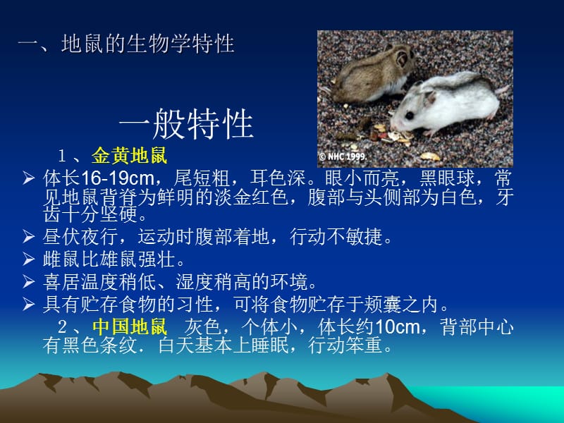 地鼠的生物学特性及其应用.ppt_第3页