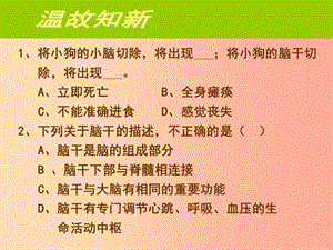 廣東省七年級(jí)生物下冊(cè) 4.6.3 神經(jīng)調(diào)節(jié)課件 新人教版.ppt