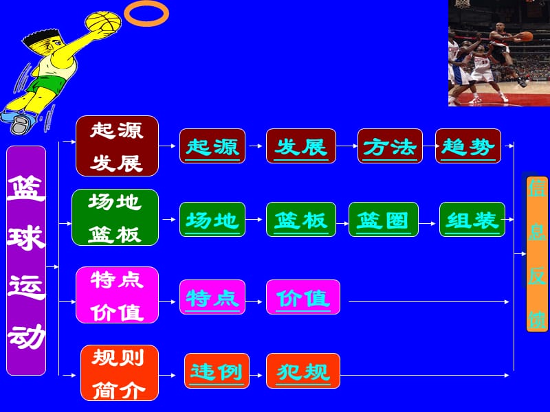 初中体育-篮球运动基础知识.ppt_第3页