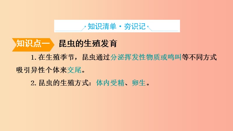 山东省2019年中考生物 主题复习十四 动物和人类的生殖与发育课件 济南版.ppt_第2页