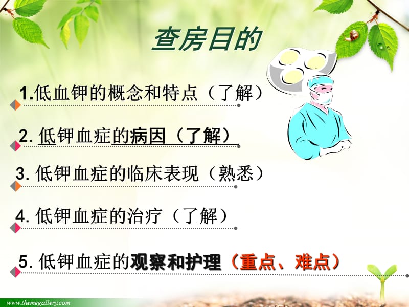 低钾血症的观察与护理.ppt_第2页