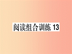 （江西專版）2019春八年級(jí)語(yǔ)文下冊(cè) 閱讀組合訓(xùn)練13課件 新人教版.ppt