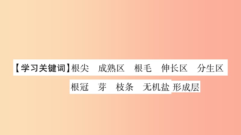 2019秋七年级生物上册第3单元第2章第2节植株的生长习题课件 新人教版.ppt_第2页