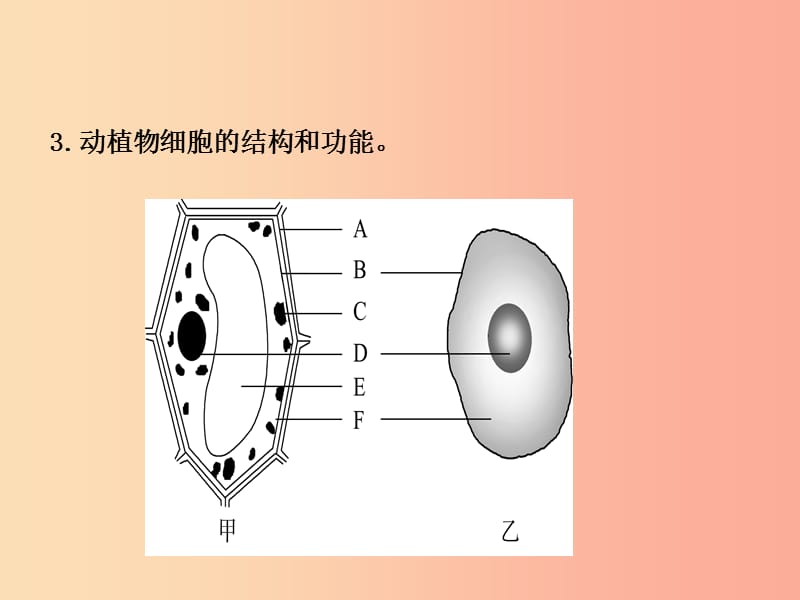 济宁专版2019年中考生物第一单元第二章复习课件.ppt_第3页