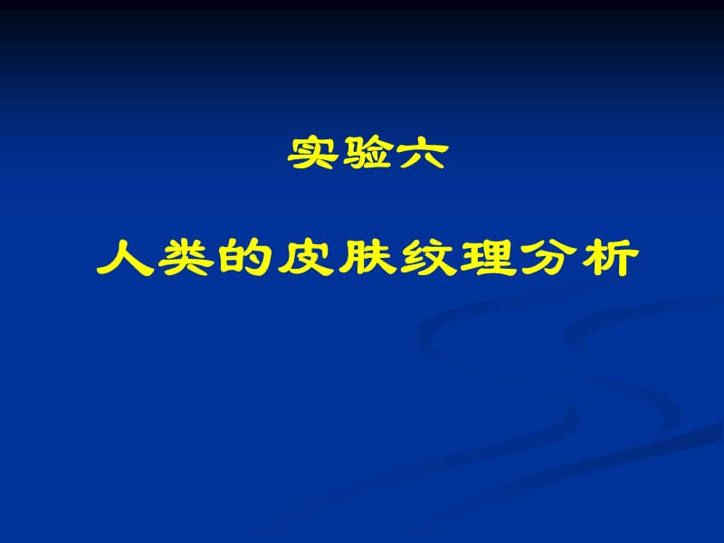 人类的皮肤纹理分析.ppt_第1页