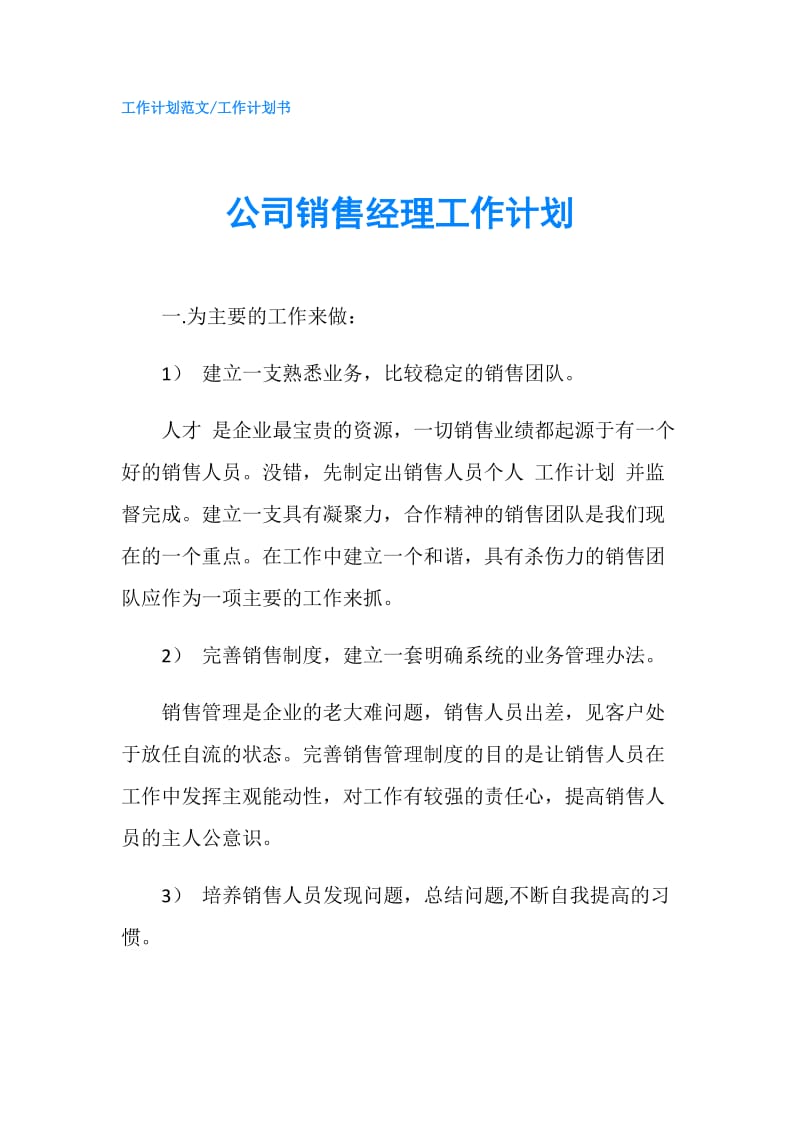 公司销售经理工作计划.doc_第1页