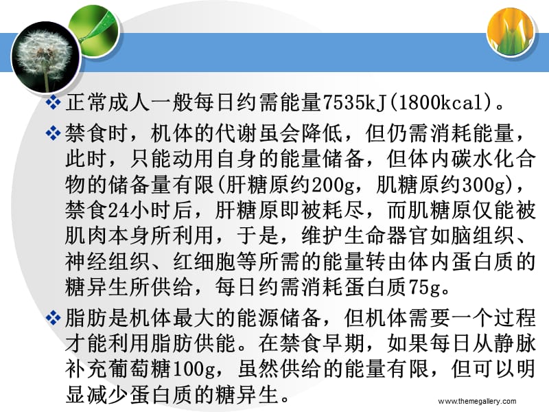 外科病人的营养支持.ppt_第3页