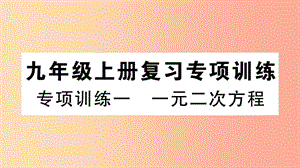 （湖北专用）2019春九年级数学下册 专项训练一 一元二次方程习题讲评课件 新人教版.ppt