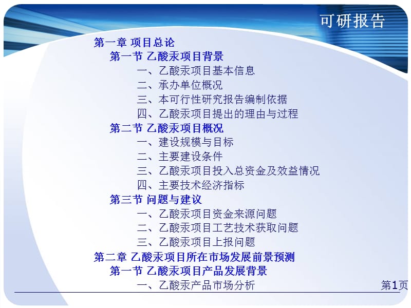 乙酸汞项目可行性研究报告.ppt_第2页