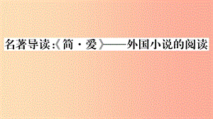 （安徽專用）九年級語文下冊 第六單元 名著導讀《簡愛》外國小說的閱讀習題課件 新人教版.ppt