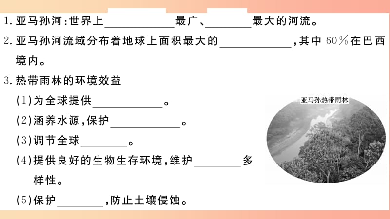 2019七年级地理下册第九章第二节巴西第2课时热带雨林的开发与保护习题课件 新人教版.ppt_第3页