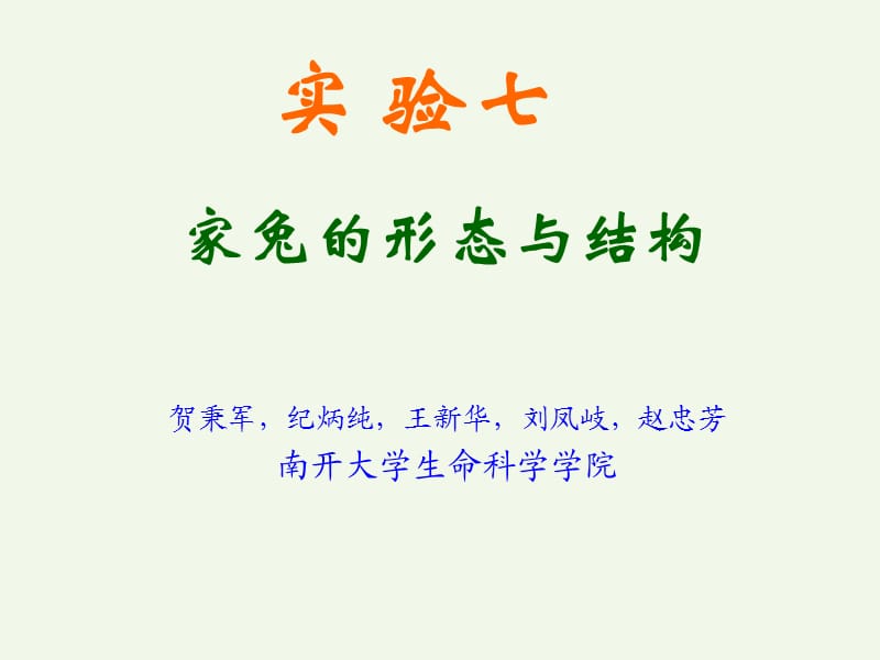 家兔的形态与结构.ppt_第1页