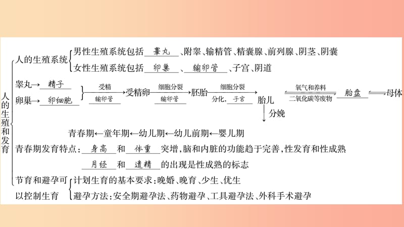 广西省玉林市2019年八年级生物上册第6单元第19章生物的生殖和发育复习与提升课件（新版）北师大版.ppt_第2页