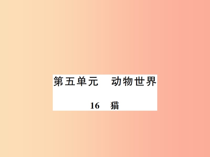 河南专版2019年七年级语文上册第五单元第16课猫习题课件新人教版.ppt_第1页