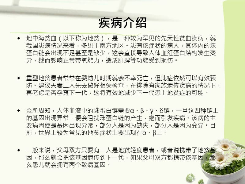 地中海贫血护理查房.ppt_第2页