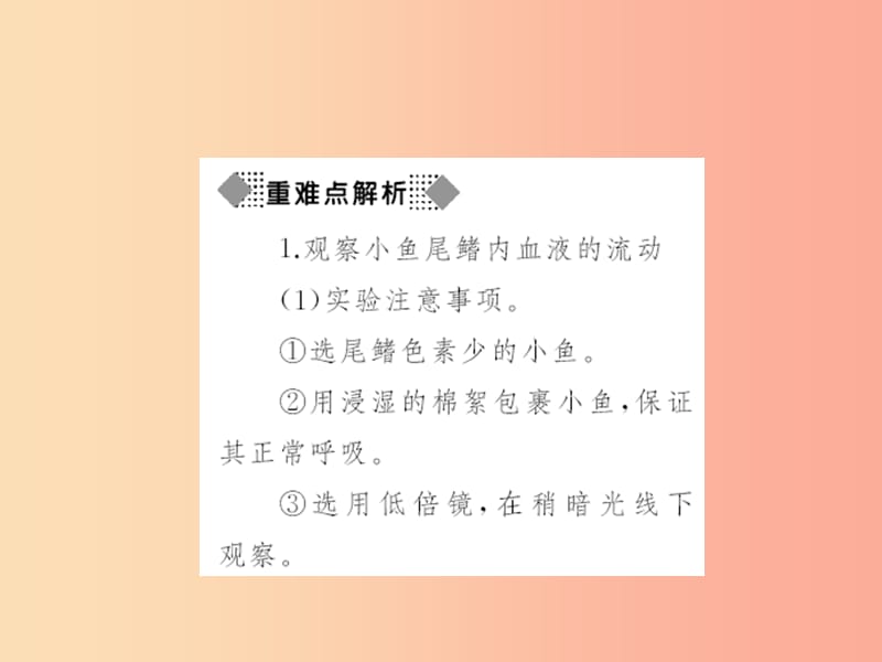 七年级生物下册第四单元第四章第二节血流的管道__血管习题课件 新人教版.ppt_第3页