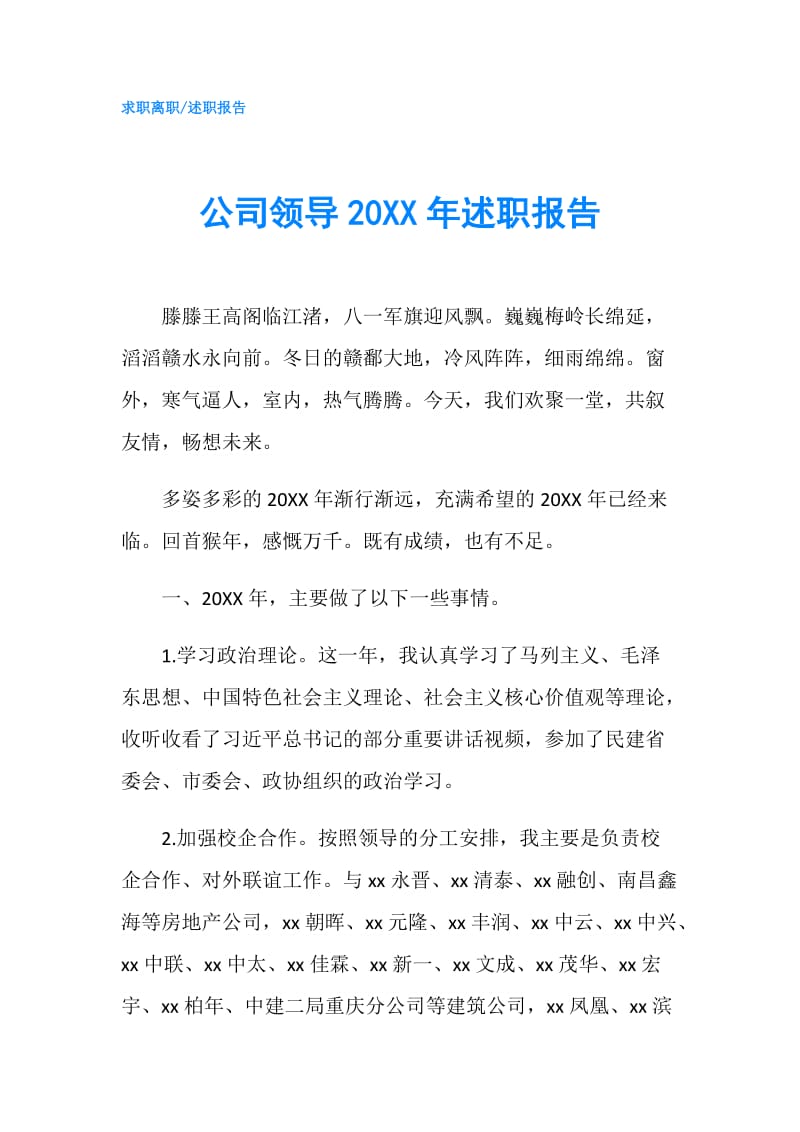 公司领导20XX年述职报告.doc_第1页