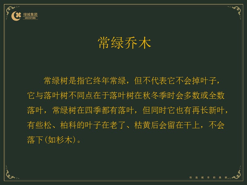 北方常见树木资源.ppt_第1页