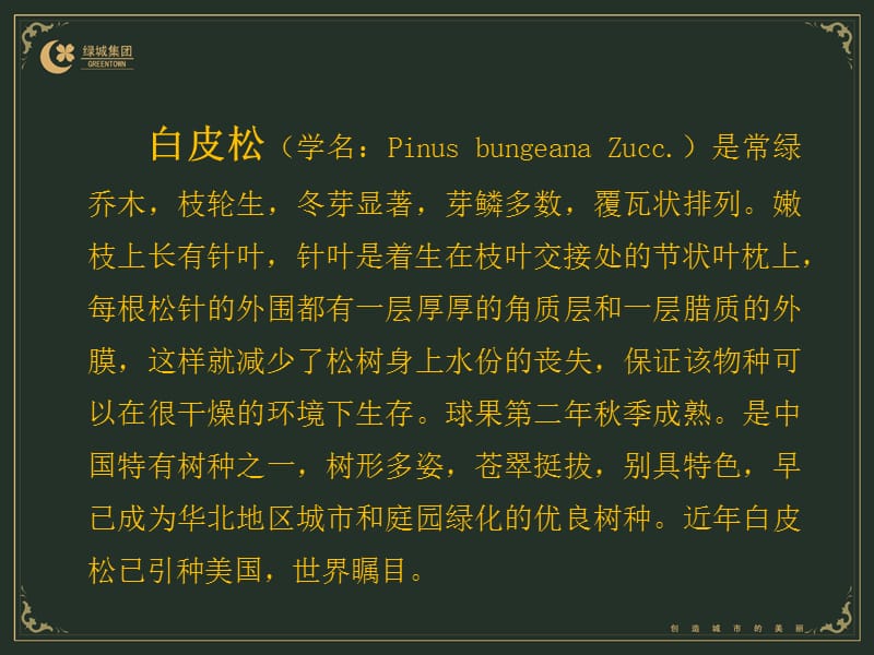 北方常见树木资源.ppt_第2页