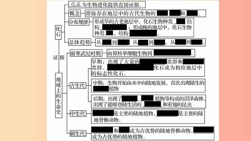 广西省玉林市2019年八年级生物下册第七单元第21章第2节生物的进化第1课时课件（新版）北师大版.ppt_第3页