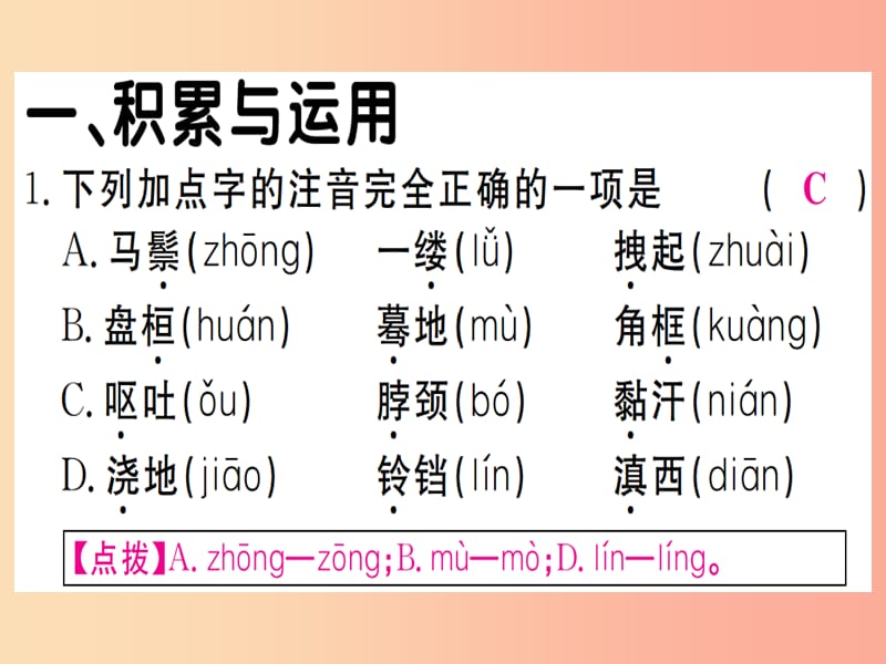 （贵州专版）2019年九年级语文下册 7 溜索课件 新人教版.ppt_第2页