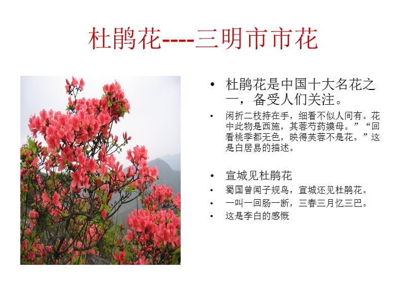 宁化的一些花花草.ppt_第3页