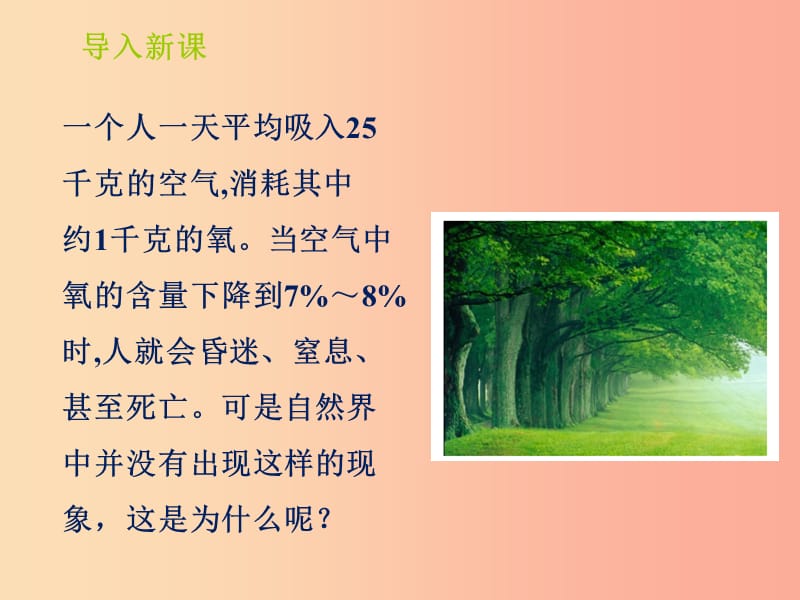 山东省七年级生物上册 2.1.5《绿色植物在生物圈中的作用》课件（新版）济南版.ppt_第3页