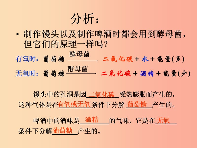 吉林省八年级生物上册5.4.5人类对细菌和真菌的利用课件 新人教版.ppt_第3页