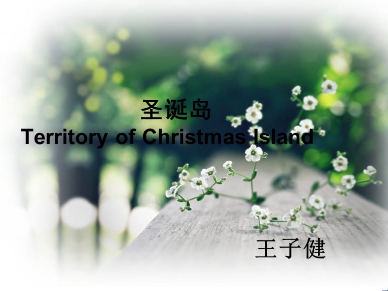 圣诞岛TerritoryofChristmasIsla.ppt_第1页