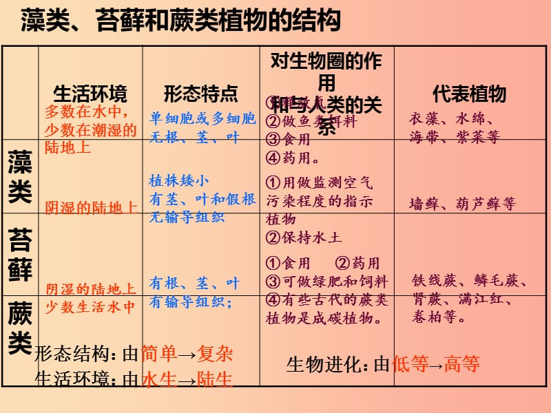 陕西省七年级生物上册 3.1-2复习课件 新人教版.ppt_第2页