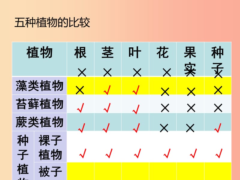 陕西省七年级生物上册 3.1-2复习课件 新人教版.ppt_第3页