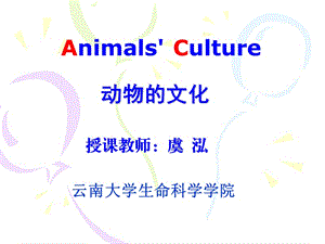 动物的文化2-1第二周.ppt