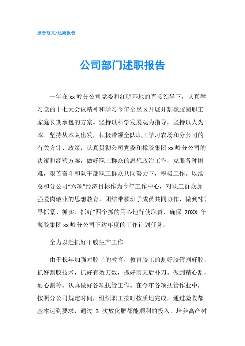 公司部门述职报告.doc_第1页