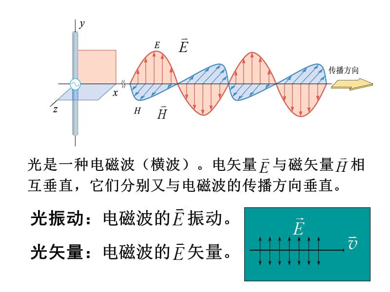 大学物理A1波动光学(光的偏振).ppt_第2页