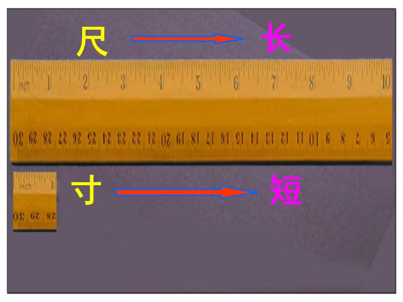 人教版四年级语文上册《尺有所短寸有所长》.ppt_第1页