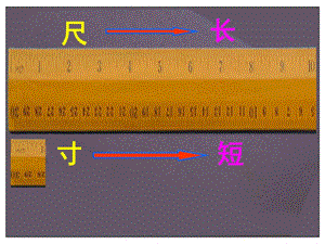 人教版四年級語文上冊《尺有所短寸有所長》.ppt