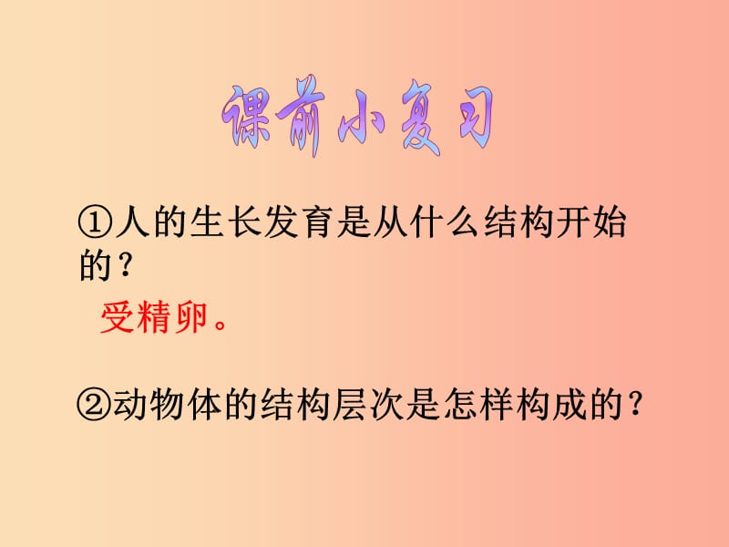 辽宁省凌海市2019年七年级生物上册 2.2.3植物体的结构层次课件 新人教版.ppt_第2页