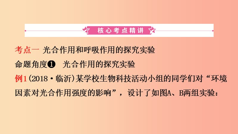 山东省2019年中考生物总复习 第三单元 生物圈中的绿色植物 第四章 第五章 第六章课件.ppt_第2页