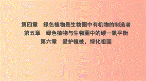 山東省2019年中考生物總復(fù)習(xí) 第三單元 生物圈中的綠色植物 第四章 第五章 第六章課件.ppt