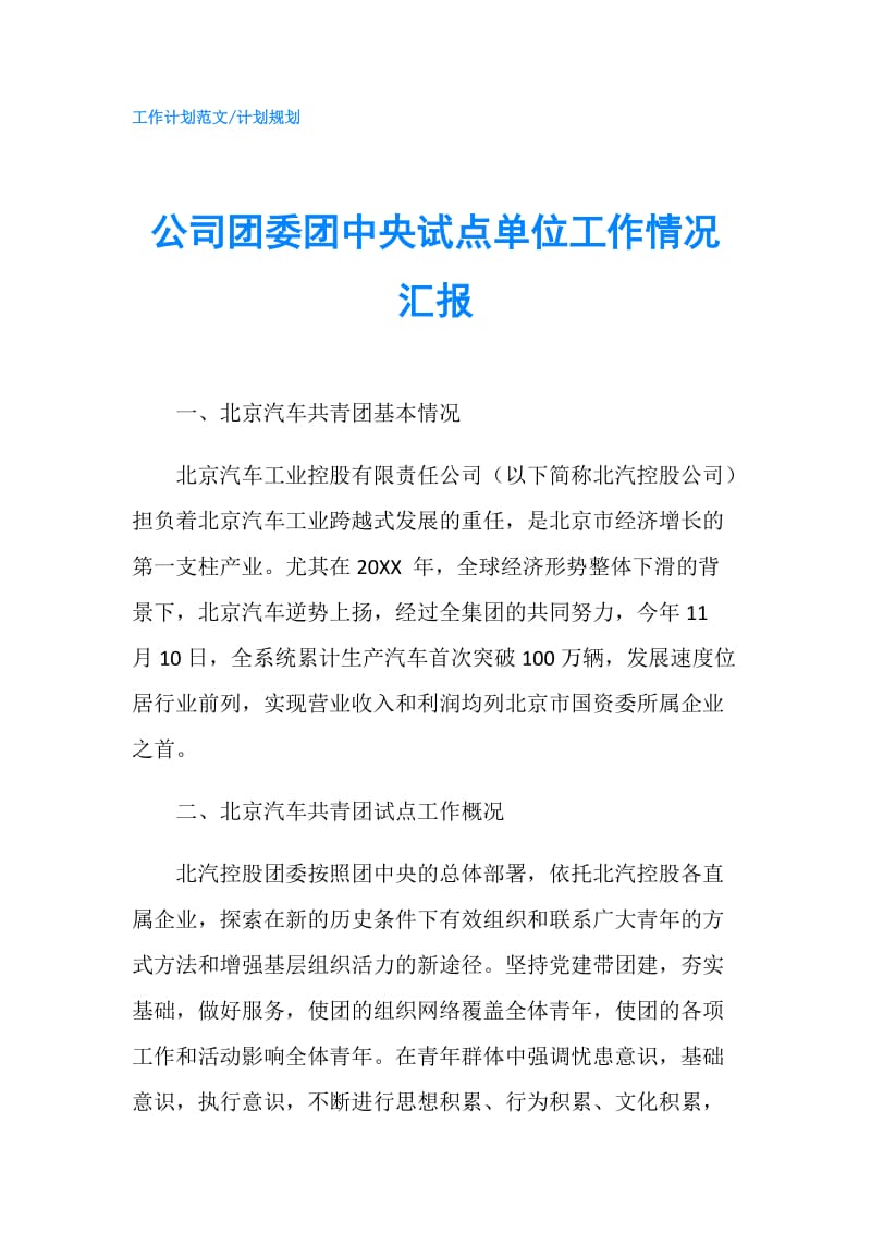 公司团委团中央试点单位工作情况汇报.doc_第1页