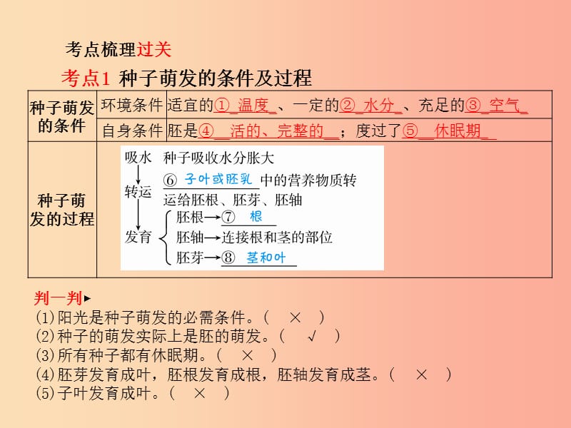 （聊城专版）2019年中考生物 第一部分 系统复习 成绩基石 第三单元 第2章 被子植物的一生 课件.ppt_第2页