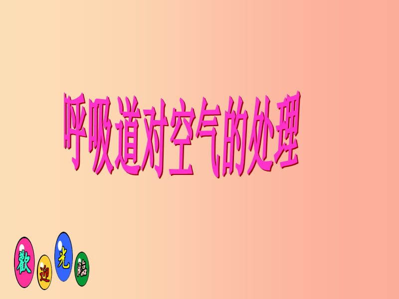 安徽省七年级生物下册4.3.1呼吸道对空气的处理课件2 新人教版.ppt_第1页