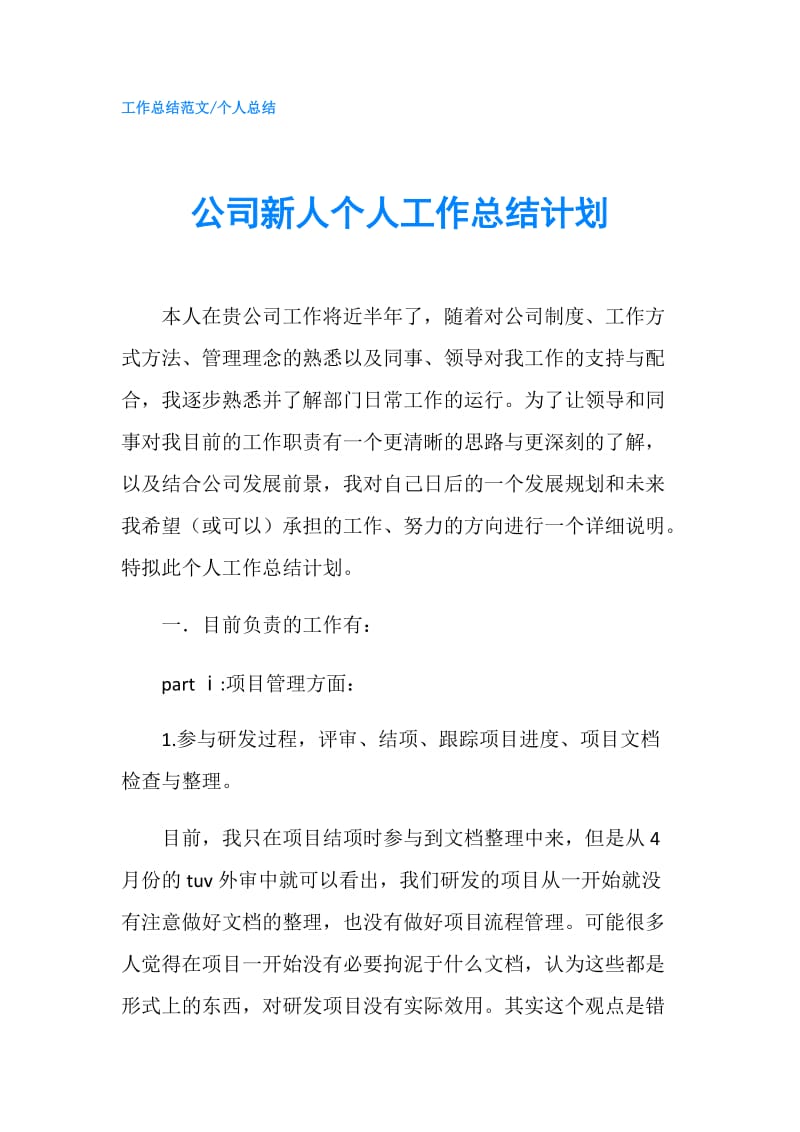 公司新人个人工作总结计划.doc_第1页